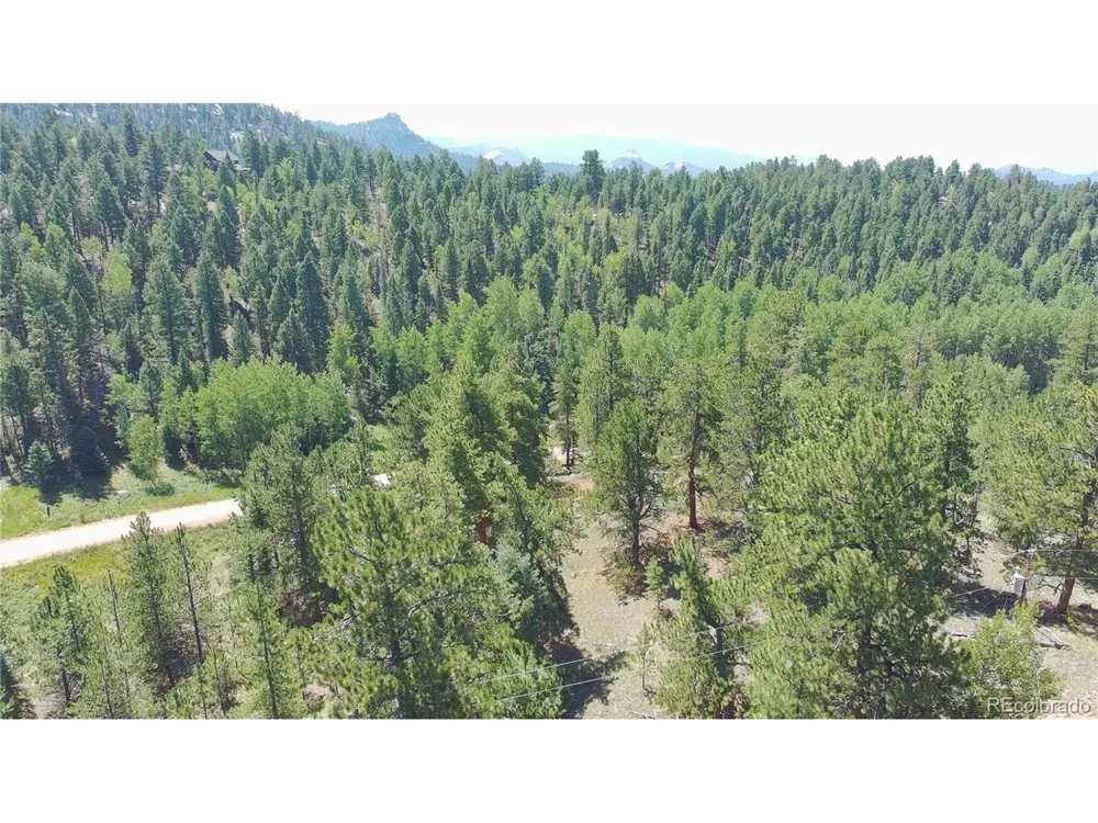 835 Spring Valley Lane Florissant, CO 80816