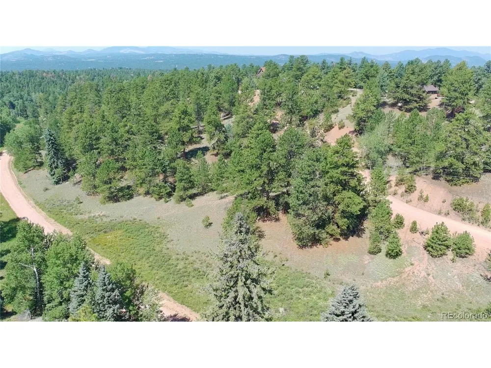 835 Spring Valley Lane Florissant, CO 80816