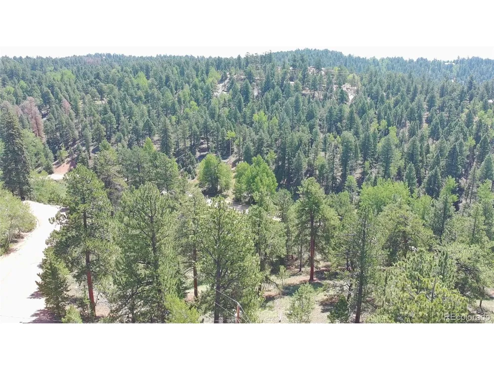 835 Spring Valley Lane Florissant, CO 80816