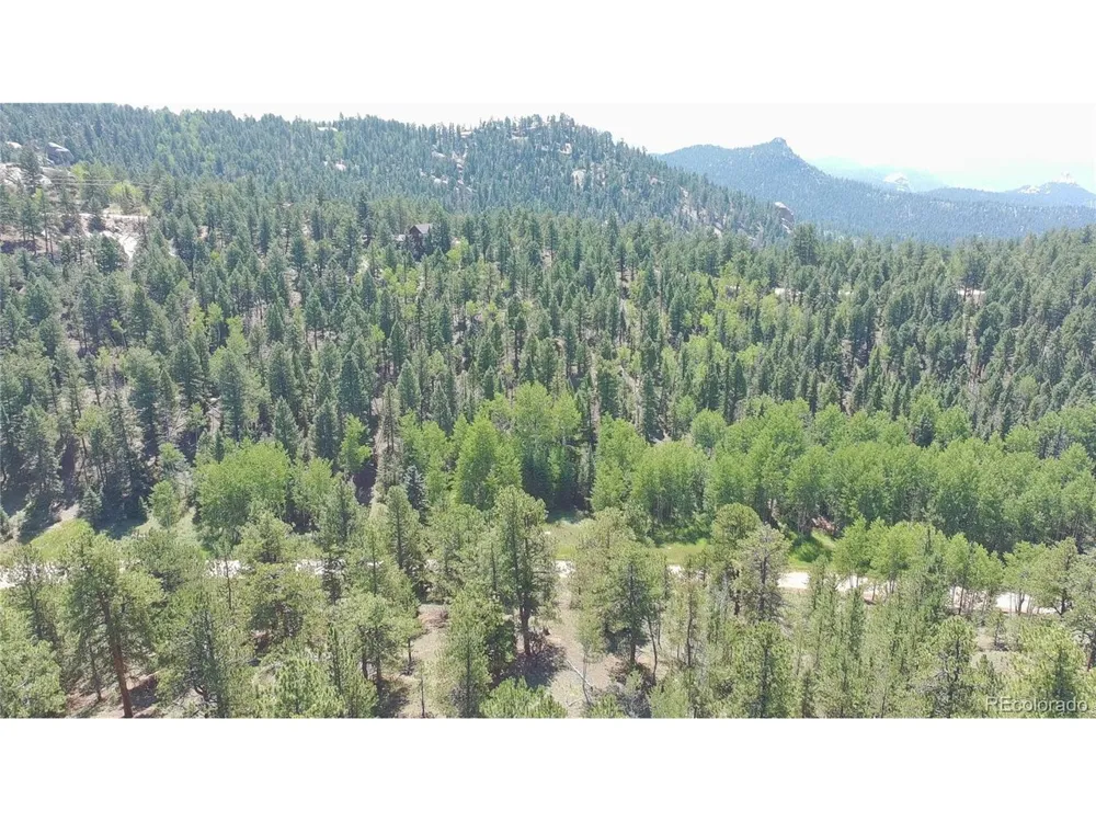 835 Spring Valley Lane Florissant, CO 80816