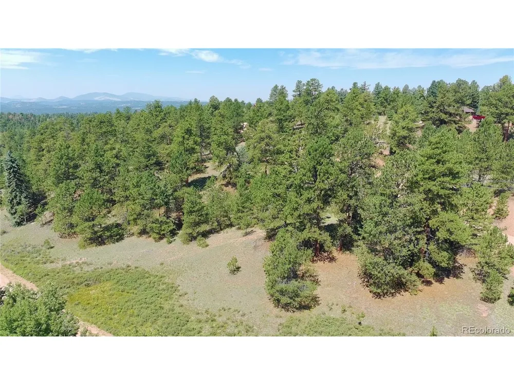 835 Spring Valley Lane Florissant, CO 80816