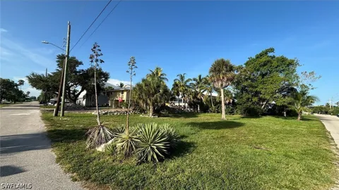 Dolphin Street
