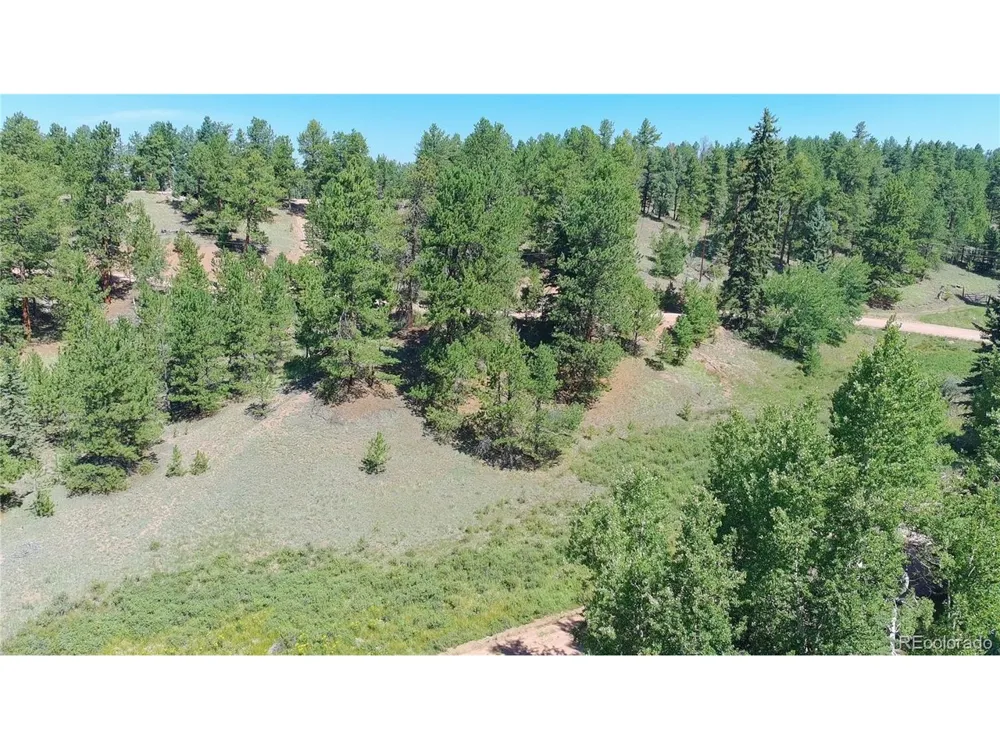 719 Spring Valley Lane Florissant, CO 80816