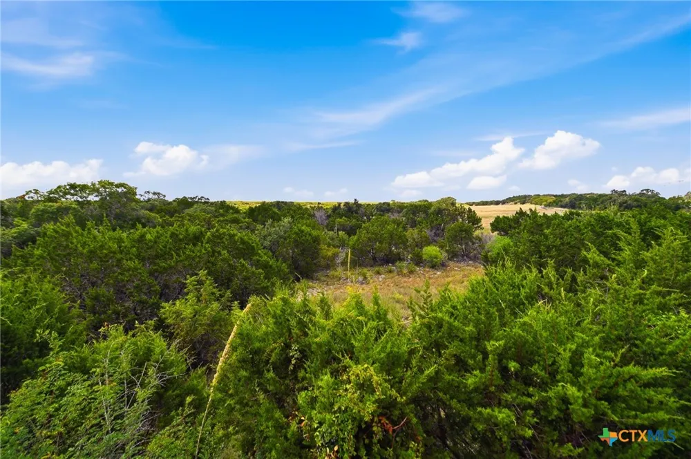 1542 Melanie Circle San Antonio, TX 78258