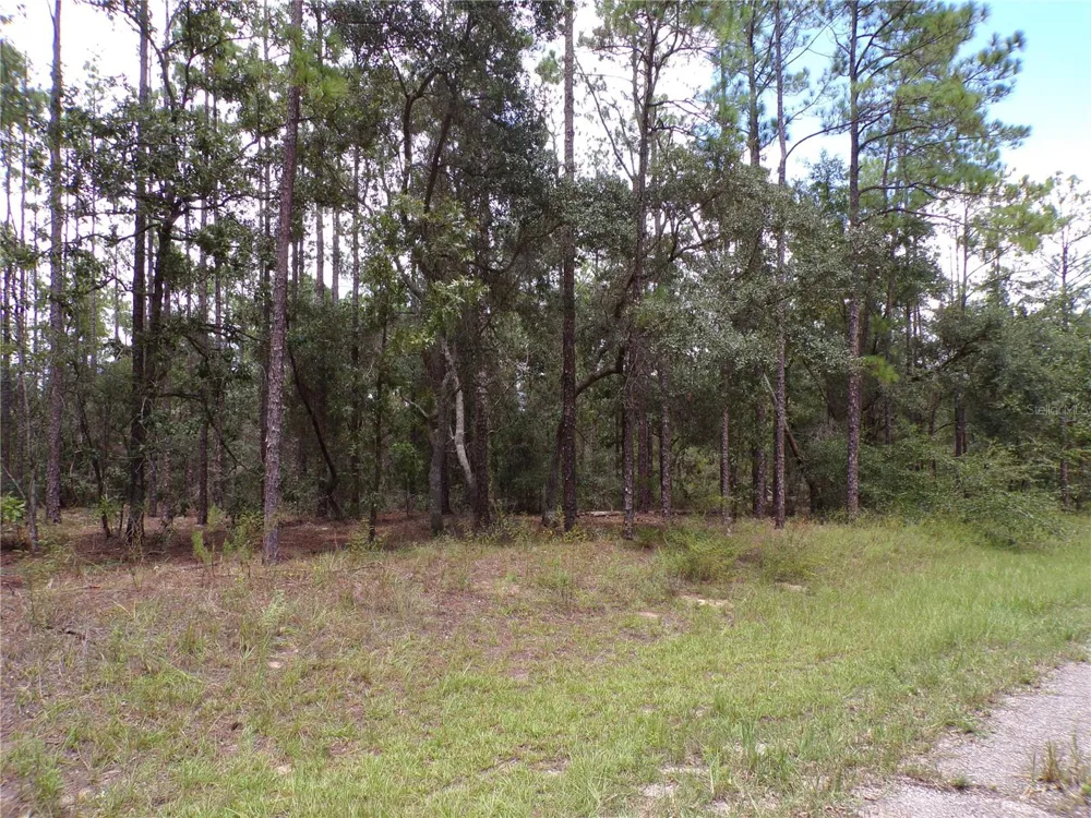 601 E MARQUETTE LANE Citrus Springs, FL 34434