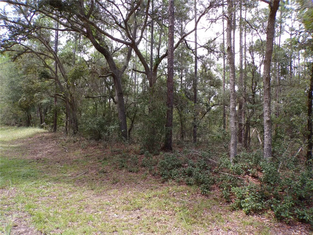 601 E MARQUETTE LANE Citrus Springs, FL 34434