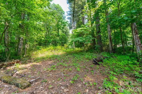 TBD Woodfin Road