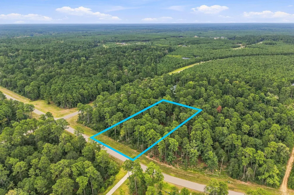 15890 Four Hills Road Willis, TX 77378