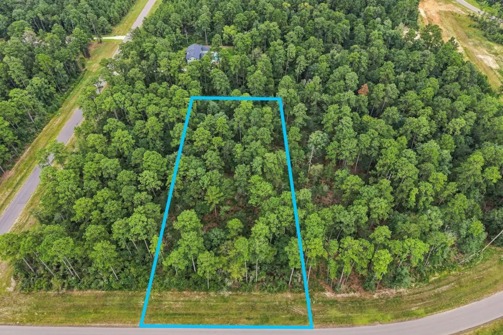 15890 Four Hills Road Willis, TX 77378
