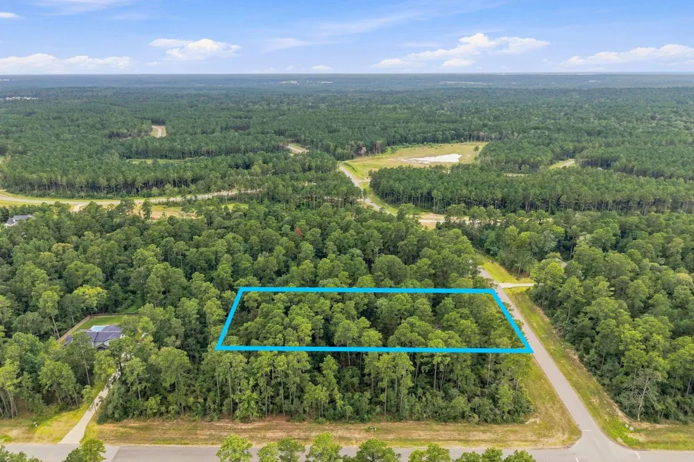 15890 Four Hills Road Willis, TX 77378