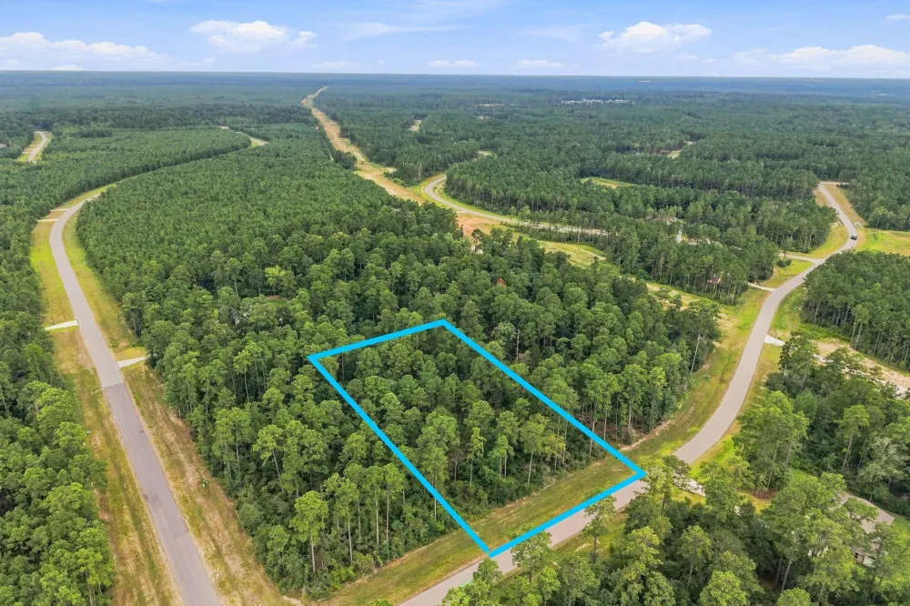 15890 Four Hills Road Willis, TX 77378