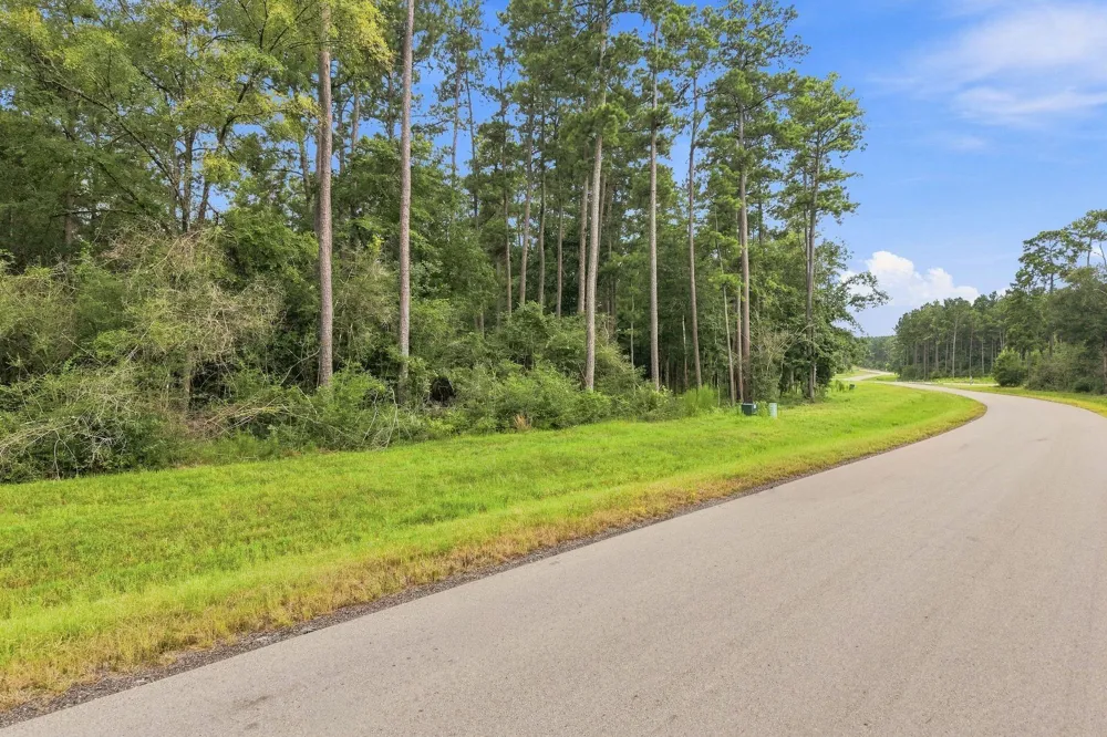 15890 Four Hills Road Willis, TX 77378