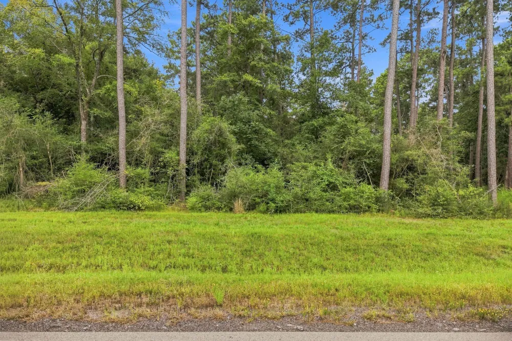 15890 Four Hills Road Willis, TX 77378