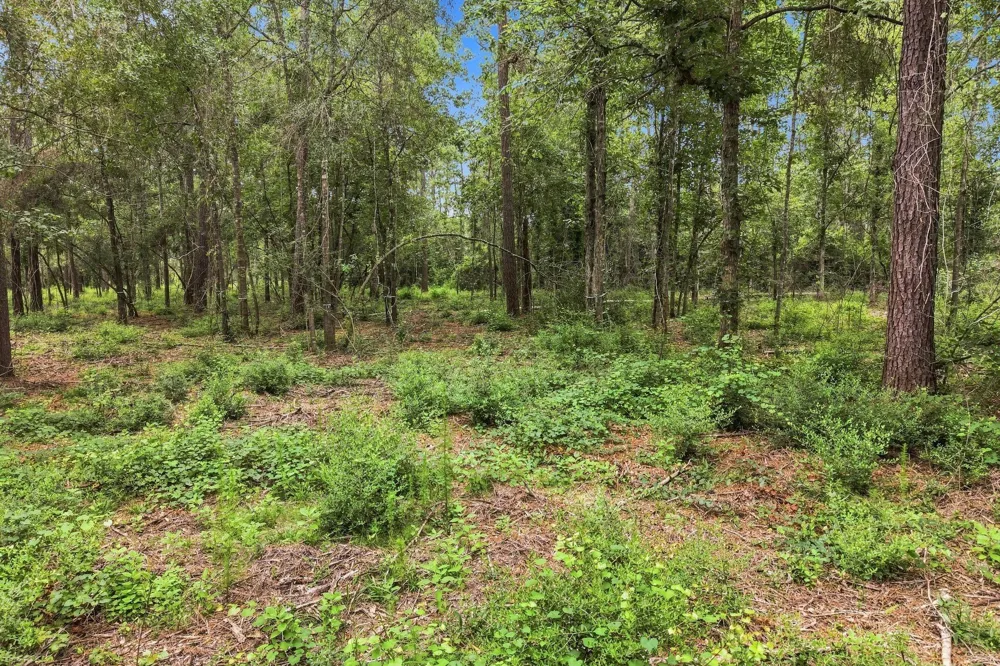 15890 Four Hills Road Willis, TX 77378
