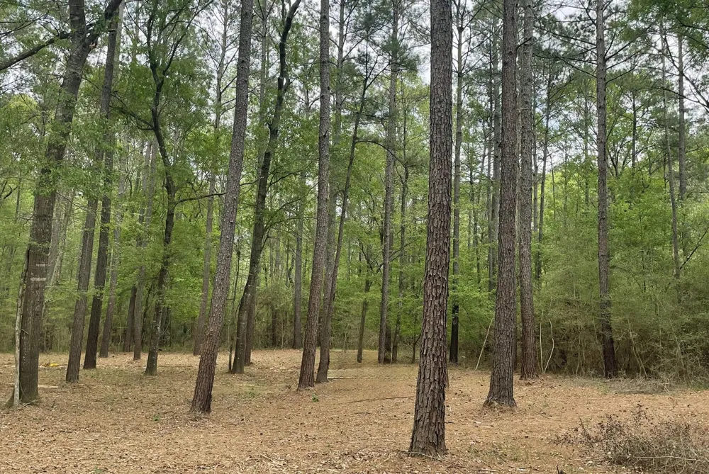2 Remington Road Huntsville, TX 77340