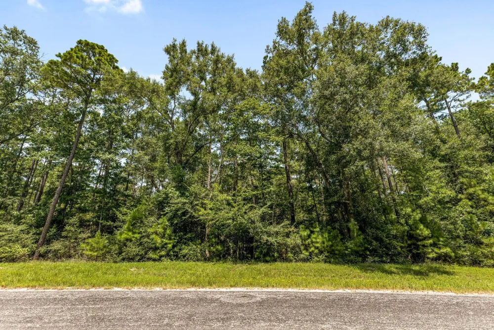 2 Remington Road Huntsville, TX 77340