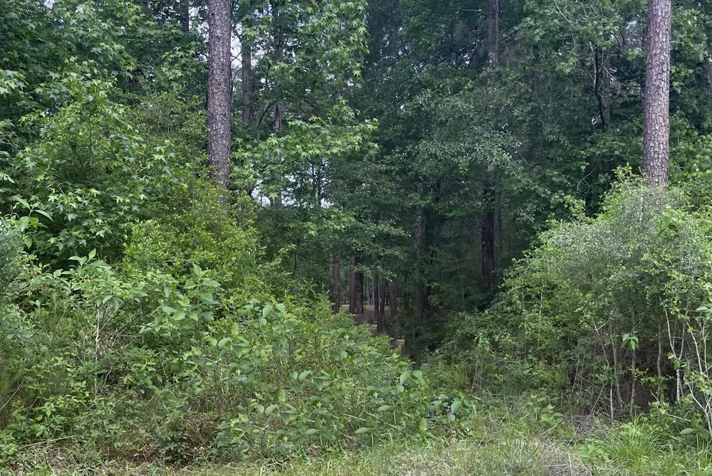 2 Remington Road Huntsville, TX 77340