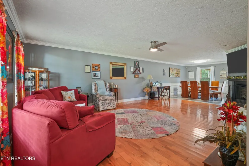 225 Hillsborough Lane Lenoir City, TN 37772