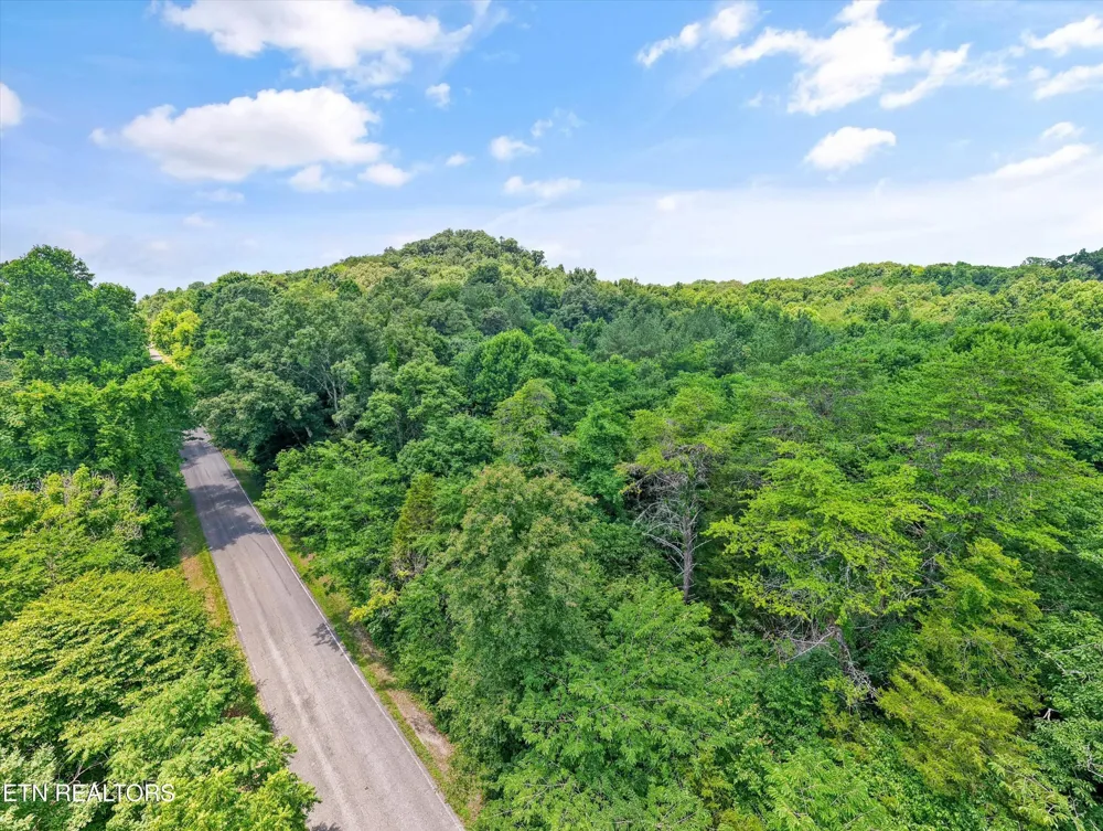 1499 Dogwood Valley Rd Kingston, TN 37763