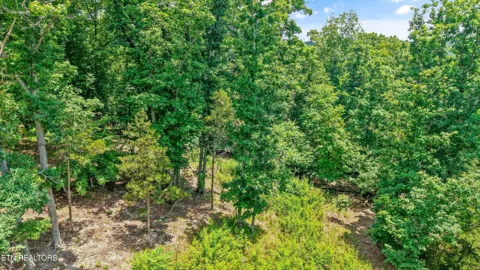 1499 Dogwood Valley Rd