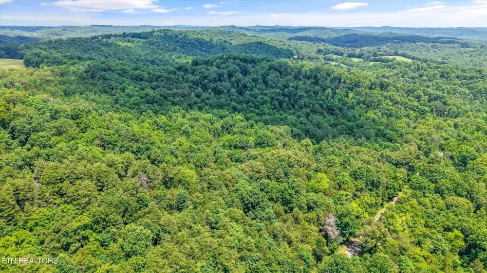 1499 Dogwood Valley Rd Kingston, TN 37763