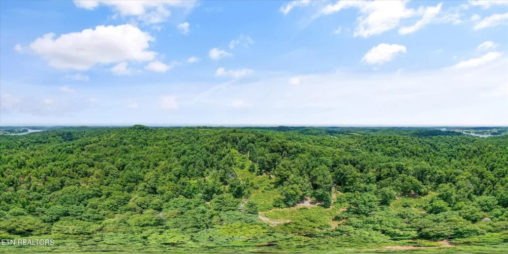 1499 Dogwood Valley Rd Kingston, TN 37763