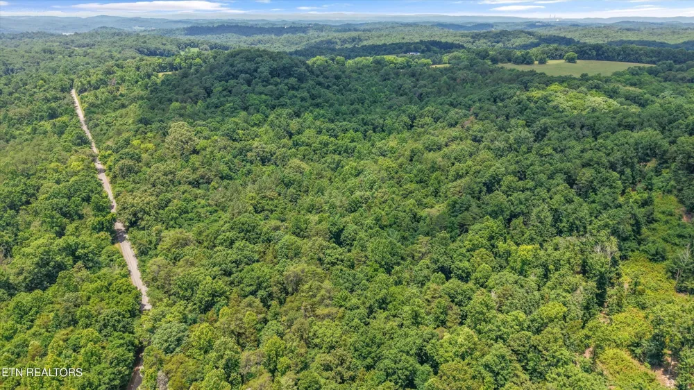 1499 Dogwood Valley Rd Kingston, TN 37763