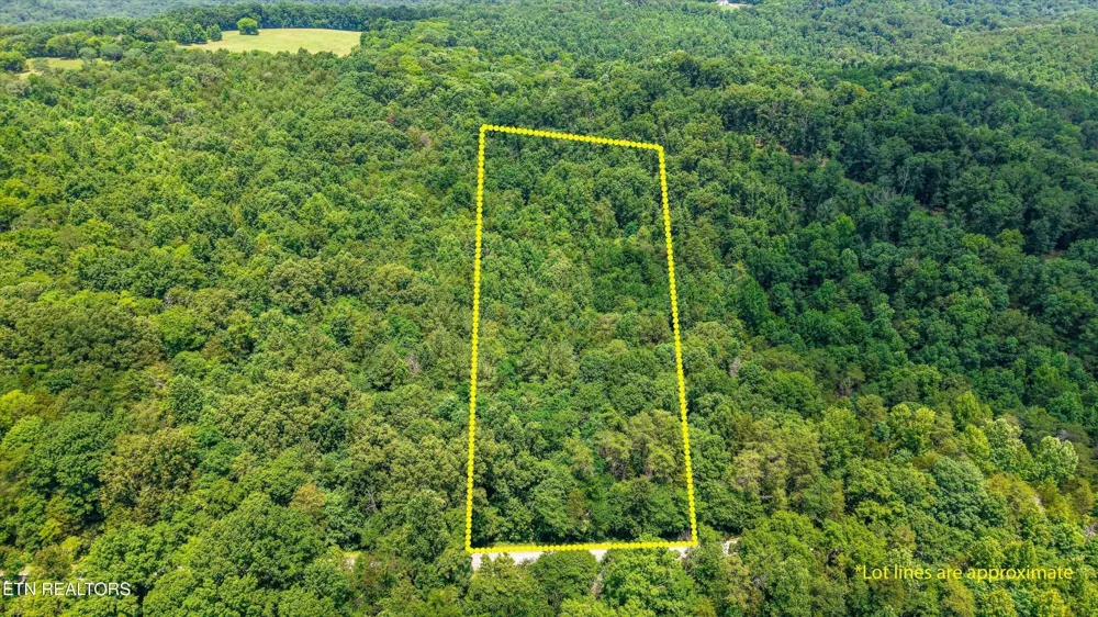1499 Dogwood Valley Rd Kingston, TN 37763