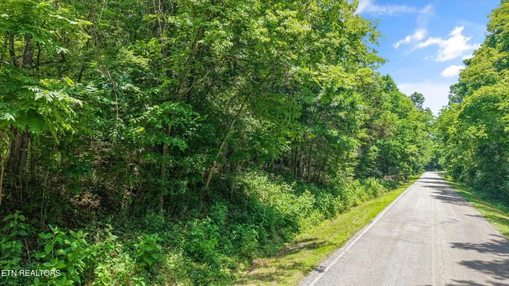 1499 Dogwood Valley Rd Kingston, TN 37763