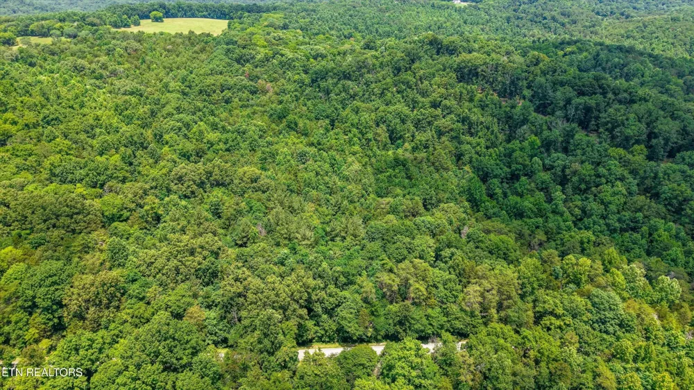 1499 Dogwood Valley Rd Kingston, TN 37763