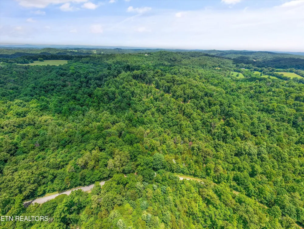 1499 Dogwood Valley Rd Kingston, TN 37763