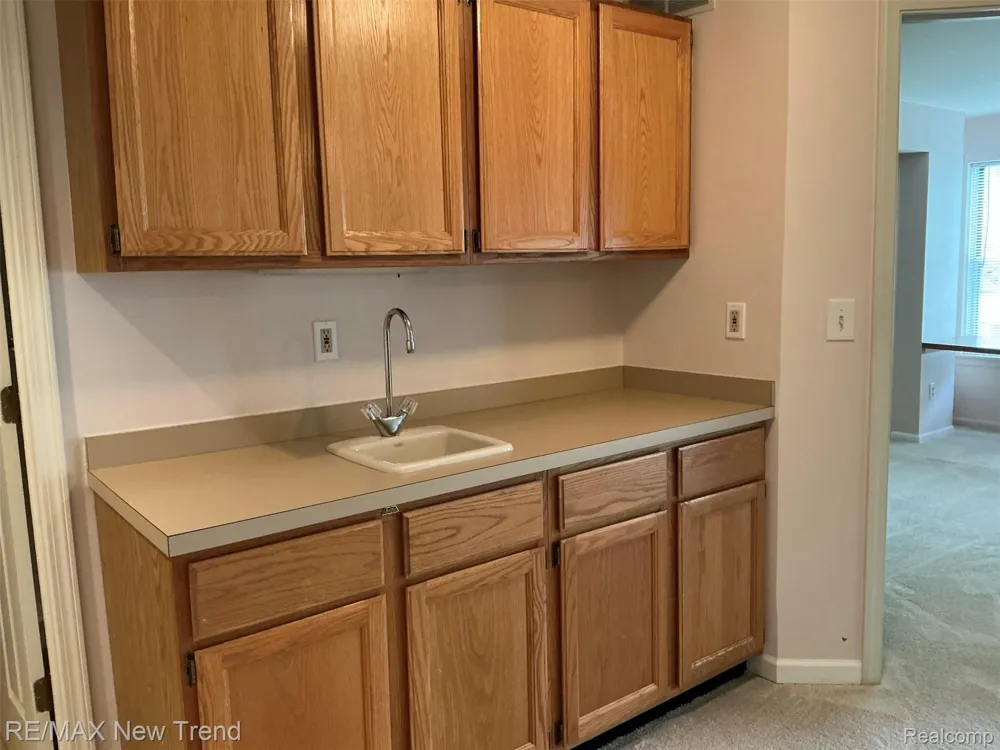 4356 Pine Ridge Court Ann Arbor Charter Township, MI 48105