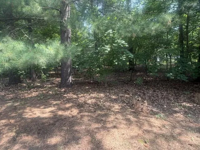 1709 Pine Street Brooks Township, MI 49337