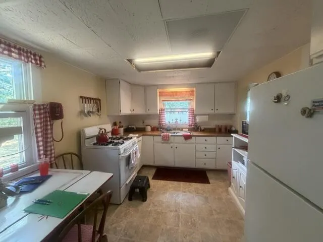 1709 Pine Street Brooks Township, MI 49337