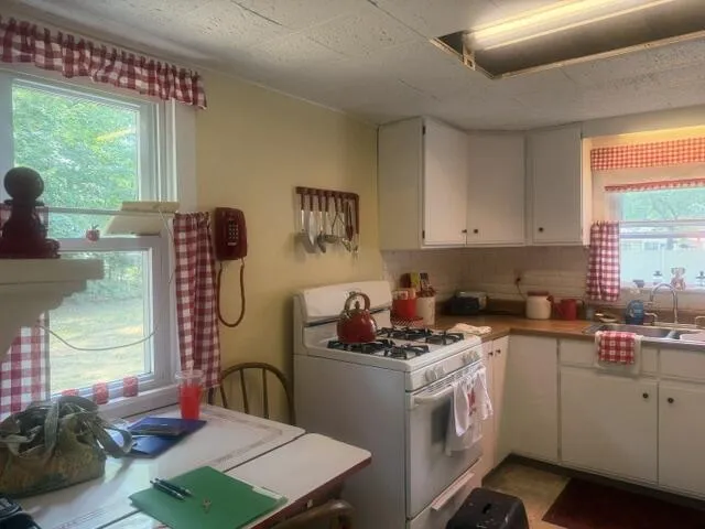 1709 Pine Street Brooks Township, MI 49337