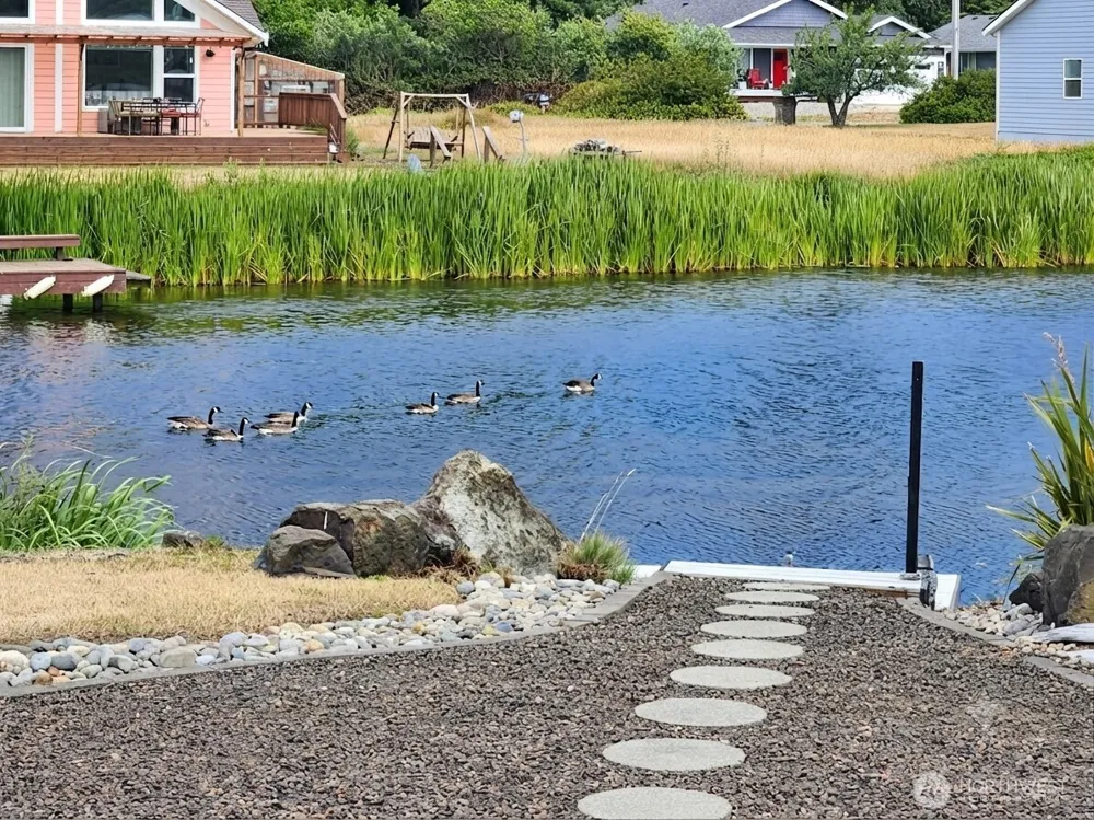 798 Cod Court SW Ocean Shores, WA 98569