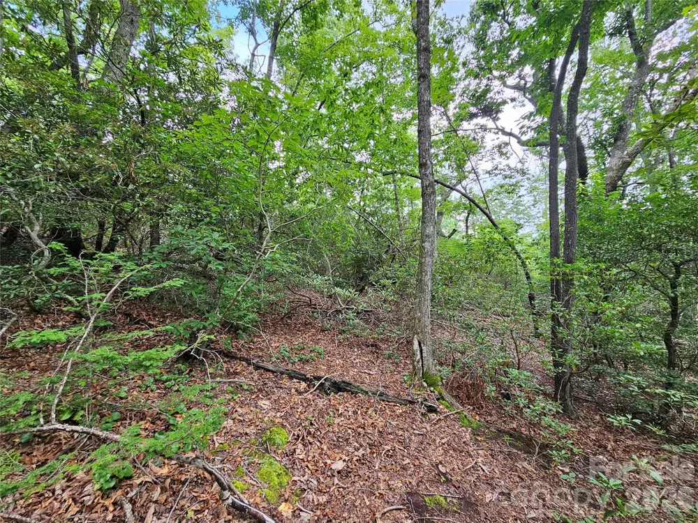 98 Down To Earth Drive #98 Burnsville, NC 28714