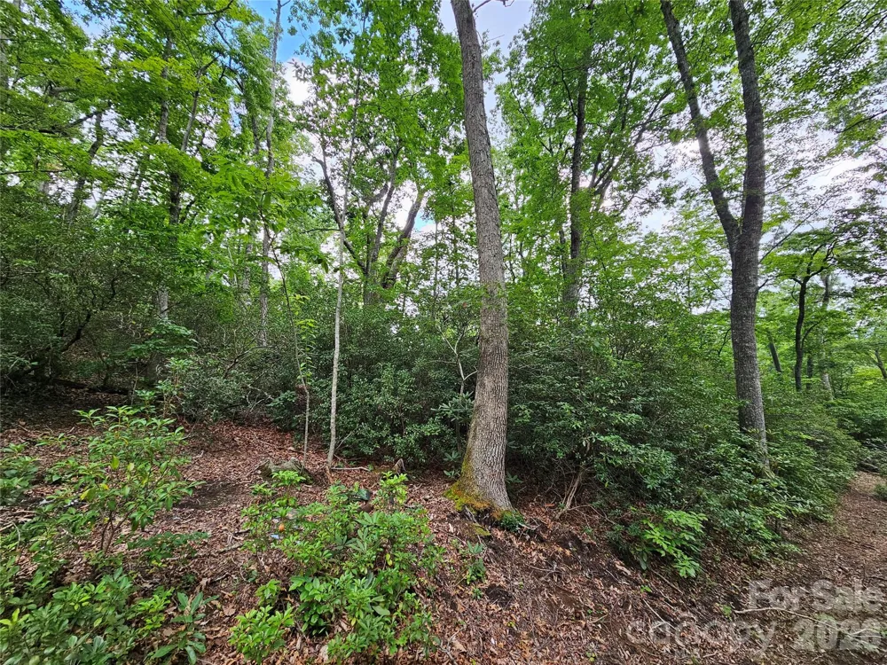 98 Down To Earth Drive #98 Burnsville, NC 28714