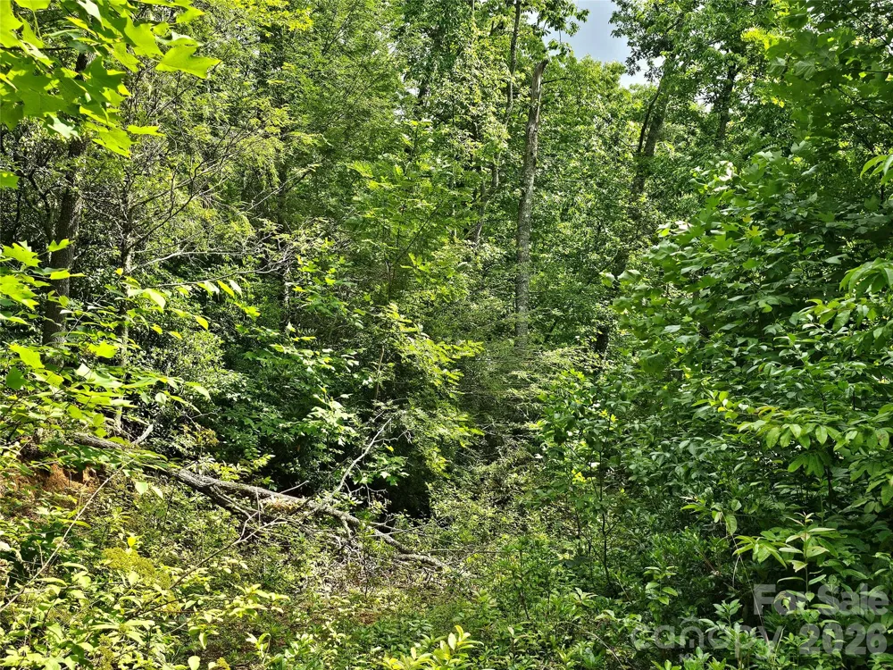 98 Down To Earth Drive #98 Burnsville, NC 28714