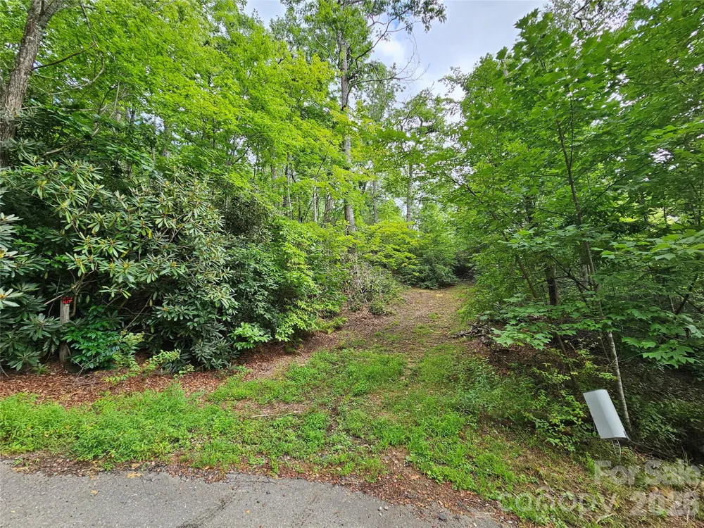 98 Down To Earth Drive #98 Burnsville, NC 28714