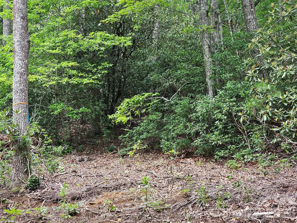 98 Down To Earth Drive #98 Burnsville, NC 28714