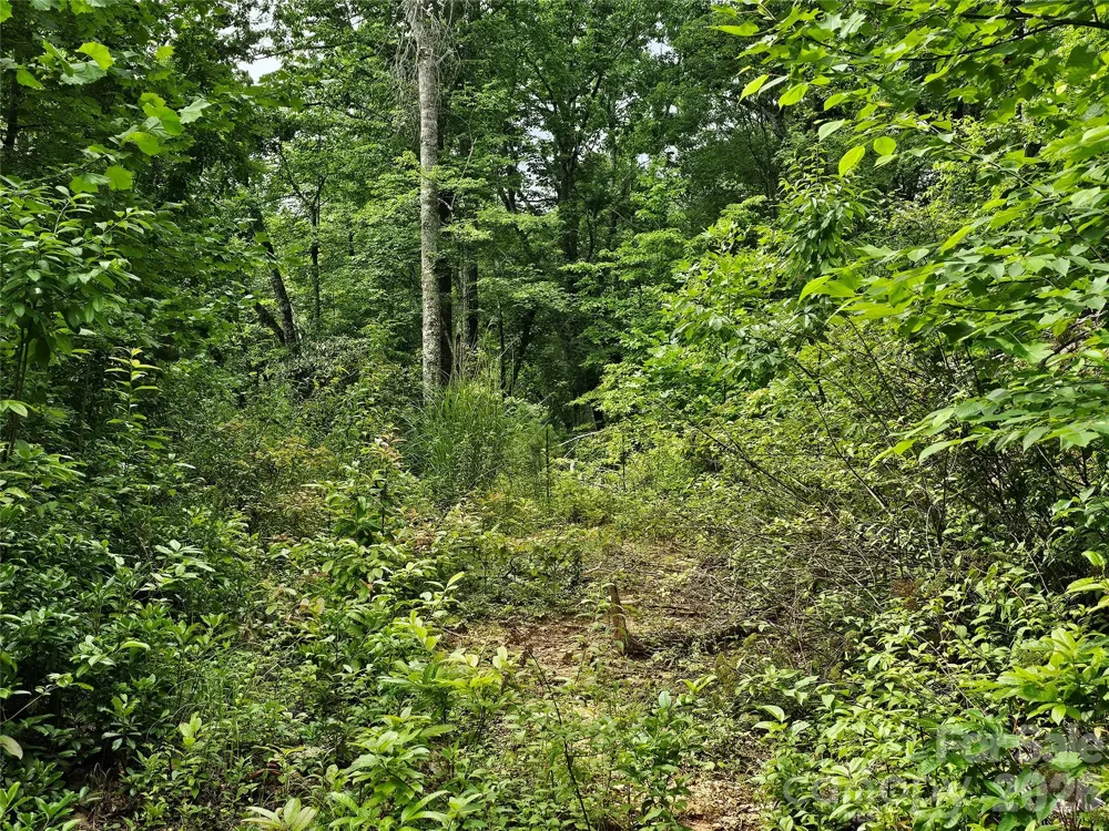 98 Down To Earth Drive #98 Burnsville, NC 28714