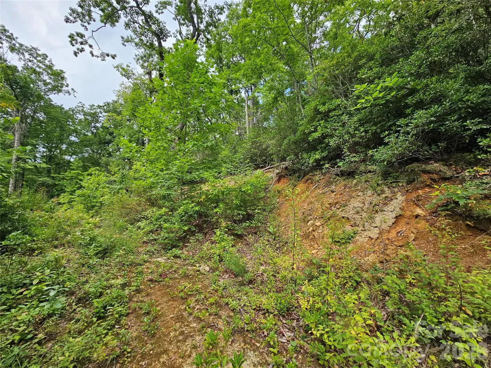 98 Down To Earth Drive #98 Burnsville, NC 28714