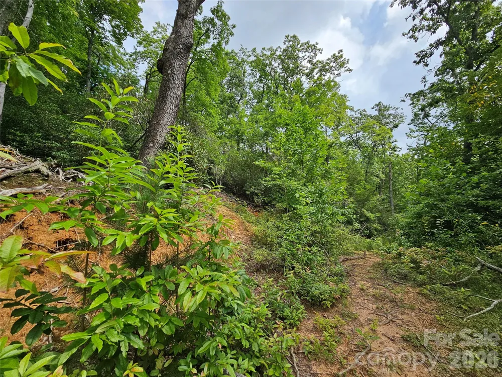 98 Down To Earth Drive #98 Burnsville, NC 28714