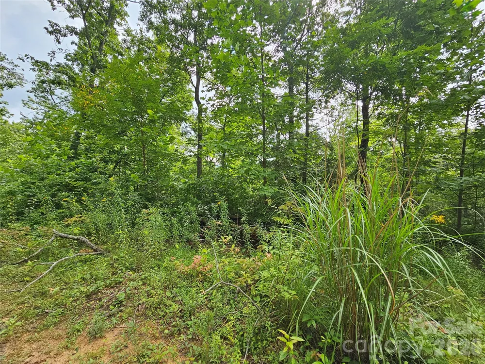 98 Down To Earth Drive #98 Burnsville, NC 28714
