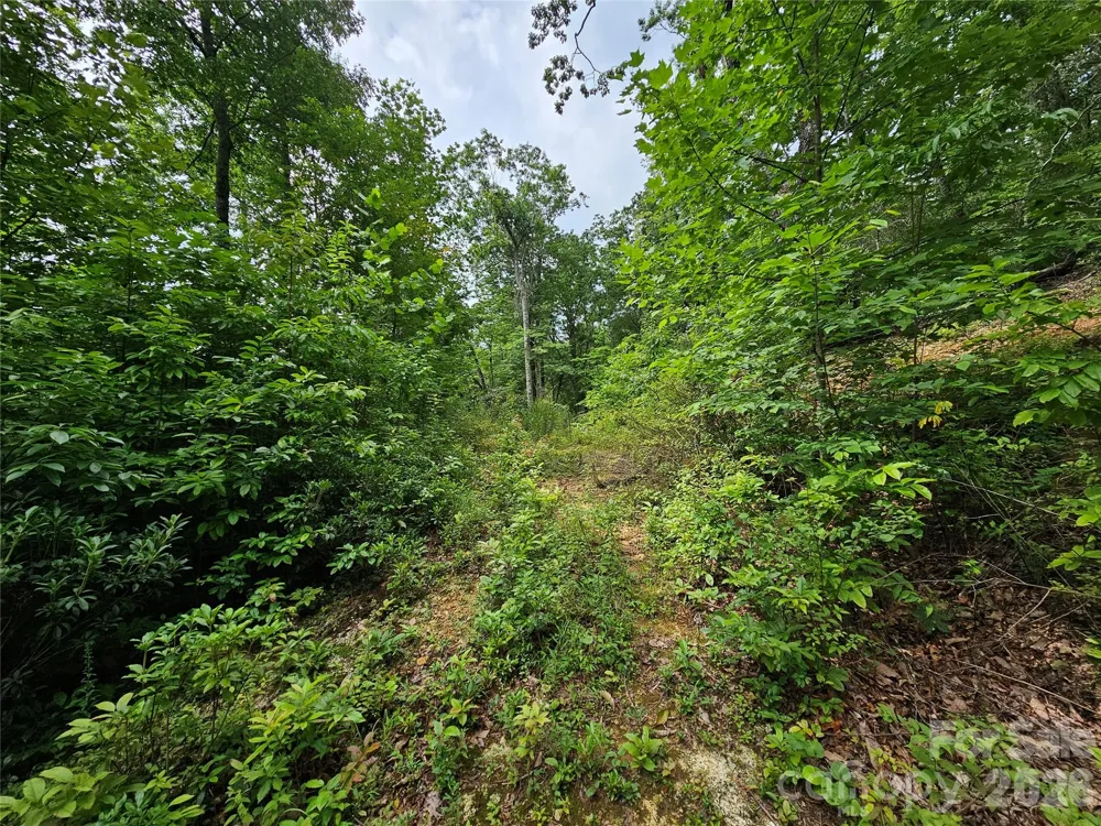 98 Down To Earth Drive #98 Burnsville, NC 28714