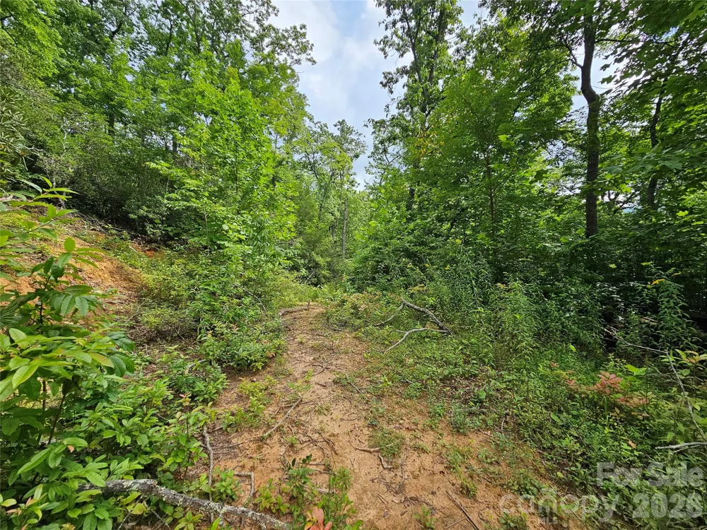 98 Down To Earth Drive #98 Burnsville, NC 28714