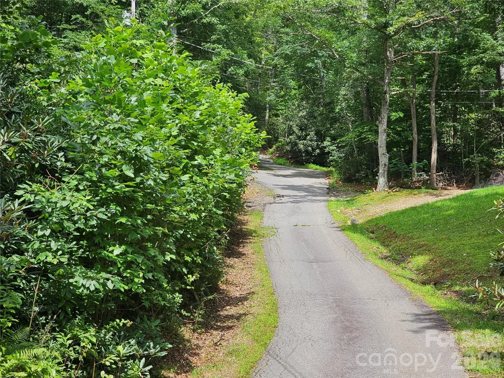 98 Down To Earth Drive #98 Burnsville, NC 28714