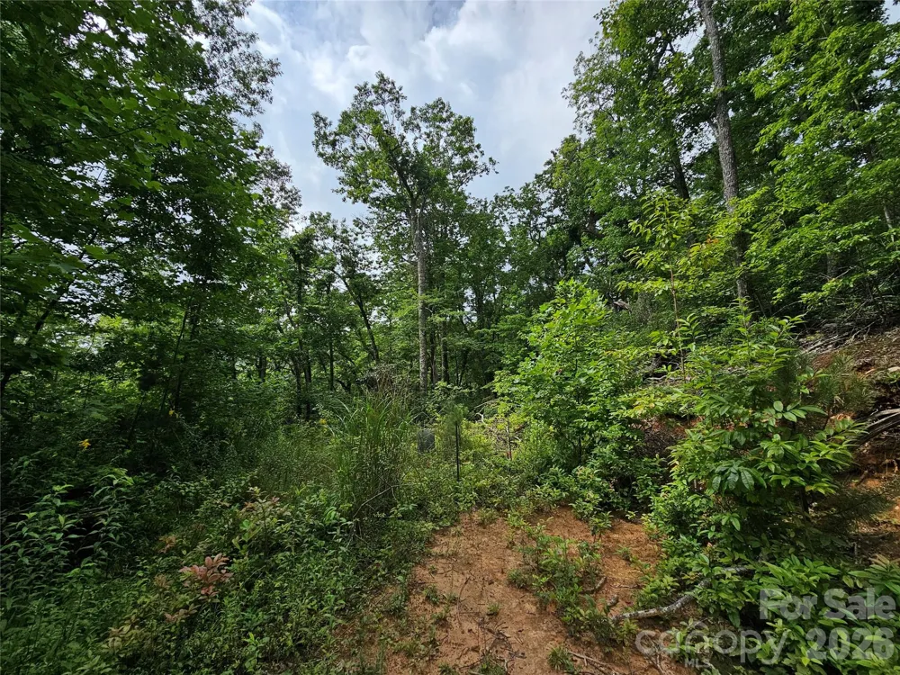 98 Down To Earth Drive #98 Burnsville, NC 28714