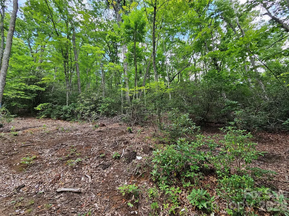 98 Down To Earth Drive #98 Burnsville, NC 28714